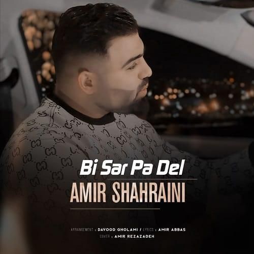 امیر شهرایینی بی سر پا دل