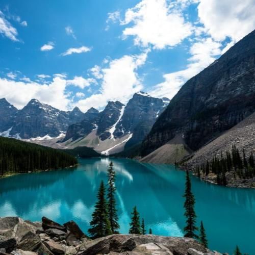 واسه جوابت بنداز رو به واسطه الان رفیق