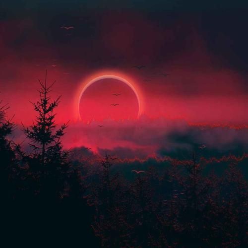  کلافم توضیح برا من نداره که نه میخوام فقط زود برم