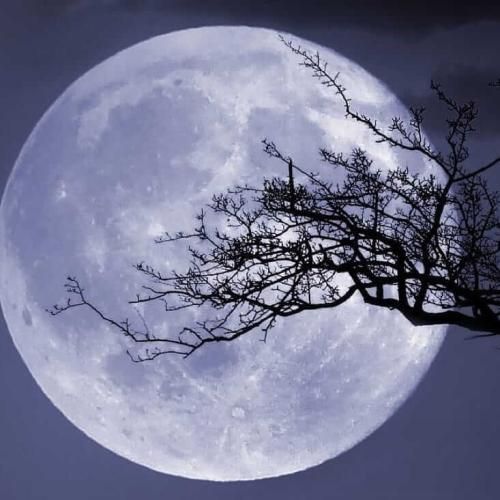  دیگر تو هم بیگانه شو چون دیگران با سرگذشتم