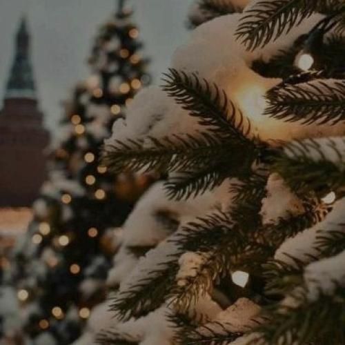  الله و الله صد بارک الله از هر نظر تو داری ماشالله