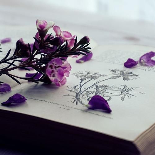  تا حالا شده که اینجوری بشی خوابت نگیره ندونی برا چی