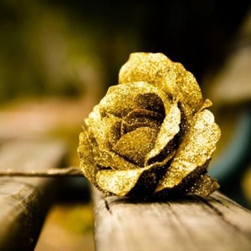  بودی یه عشق اشتباهی رفیق نصف راه آدم فیک سادیسم