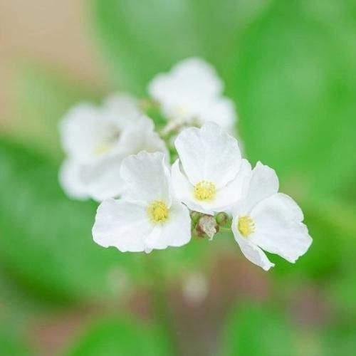  همه میدونن یکی یدونه ی این دلم بودی