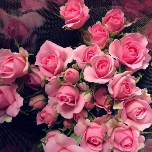  تو دستت کارده تو آشپزخونه من دستم کاره ولی آشپزخونه