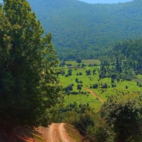  گوشیمو گرفتن دستمه پیوست هی واسه پیج فیک میفرستادن