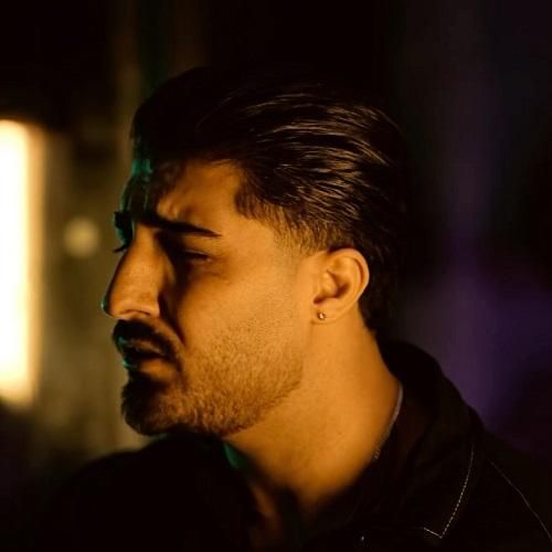 امیر لیام ذوق مکنی تا برات گل میگیرم