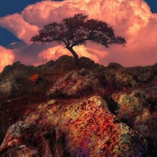 دانلود آهنگ داغ دلم هی میشه تازه وقتی جنازه میره رو جنازه هوش مصنوعی